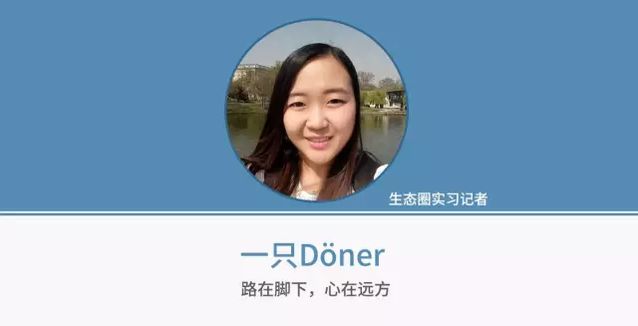 赛事报道：知名记者带你全景了解比赛背后故事