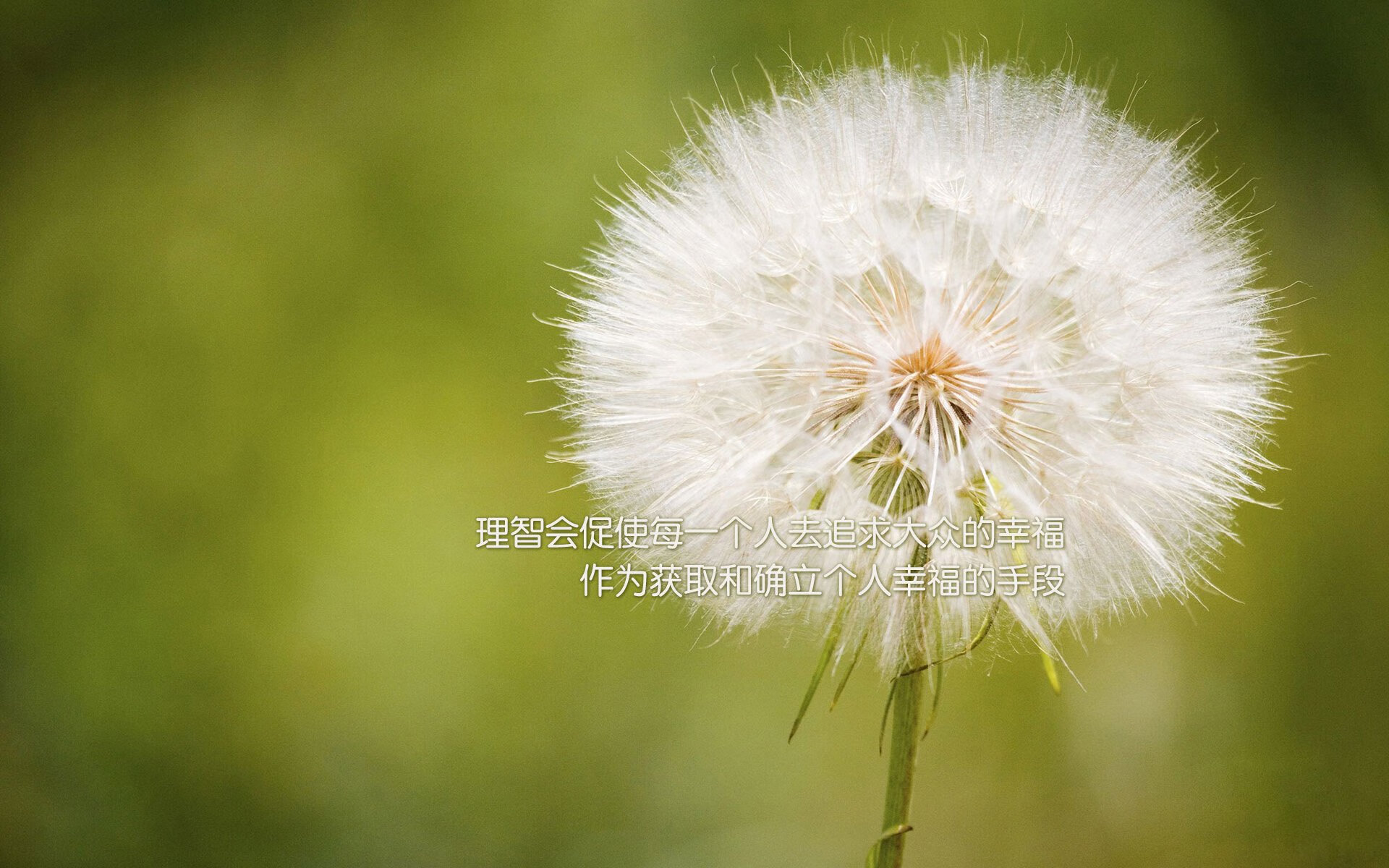 切尔西客场挑战AC米兰，一战谁能获胜？，切尔西对比