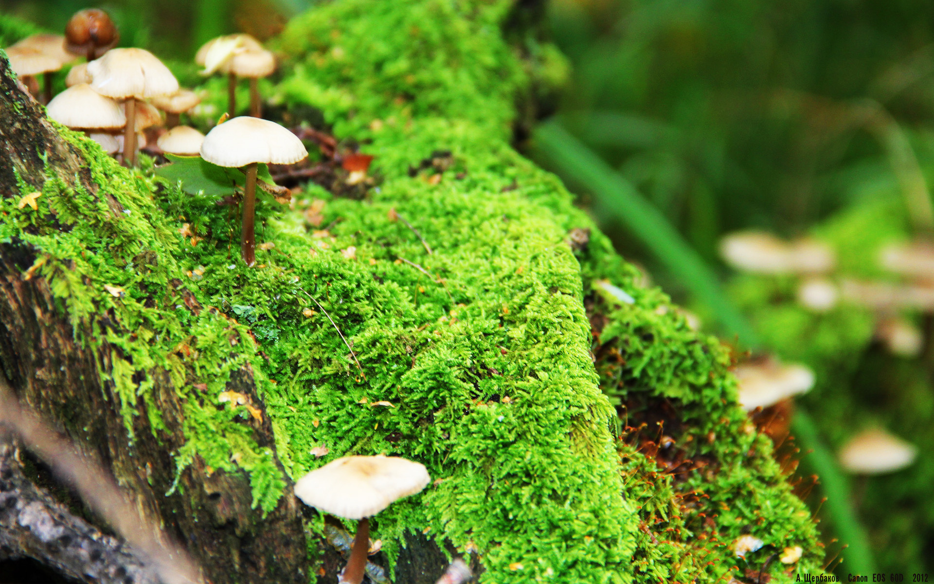 AYX GAMING-“沙滩排球：高新体育中心成为全球排球爱好者的竞技圣地”