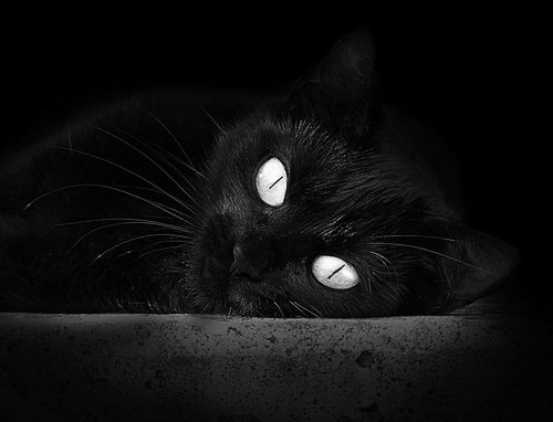 AYX体育官网-五大联赛是否形成非对称控球结构对抗密集防守，非五大联赛球星