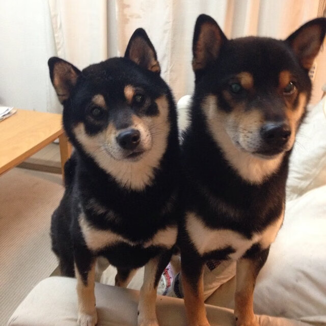 海湾者防守成败关键，压力显现，海湾打击