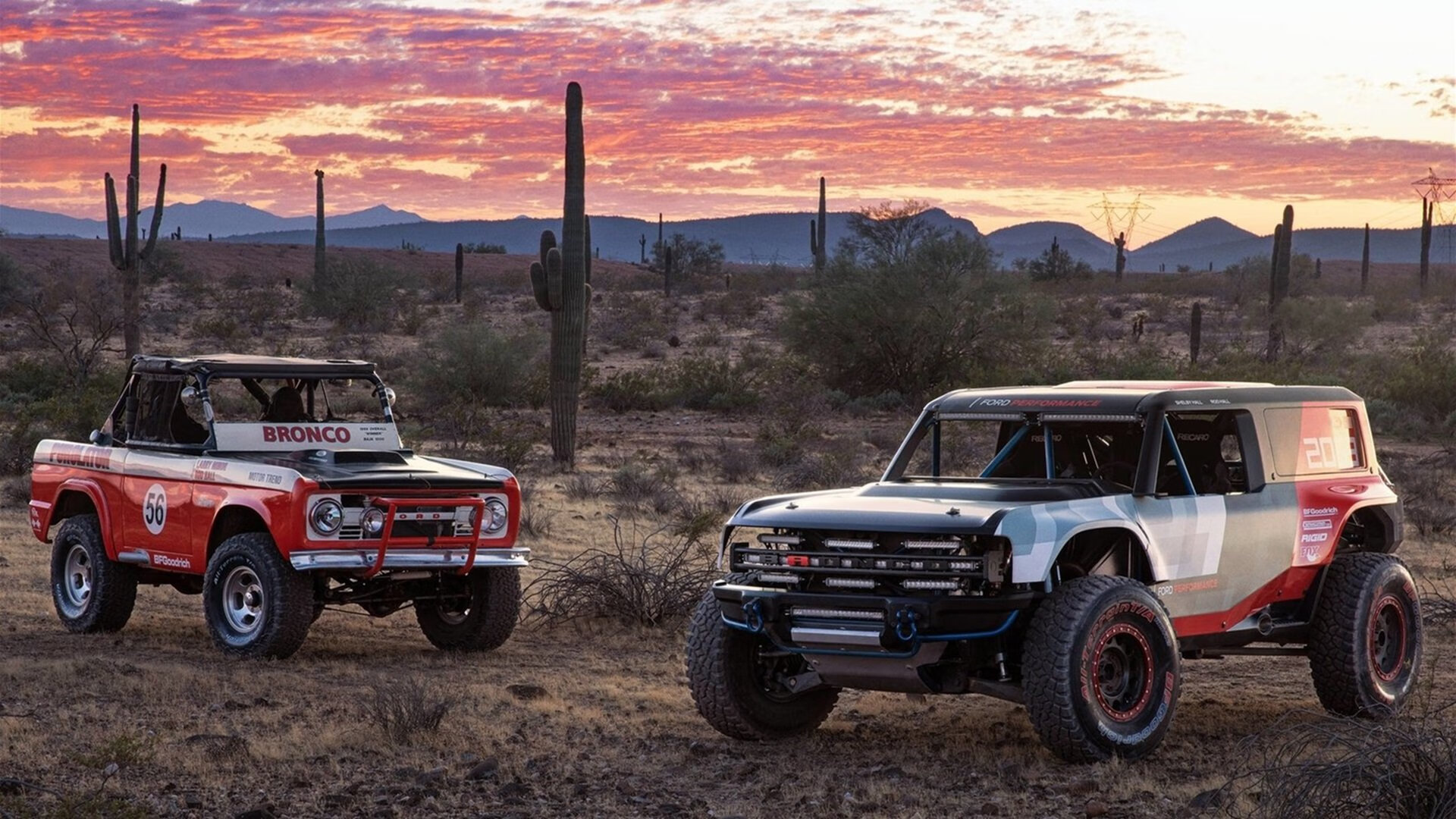 瑞典乒乓球队战术：如何在关键时刻打破僵局，瑞典乒乓球的兴衰