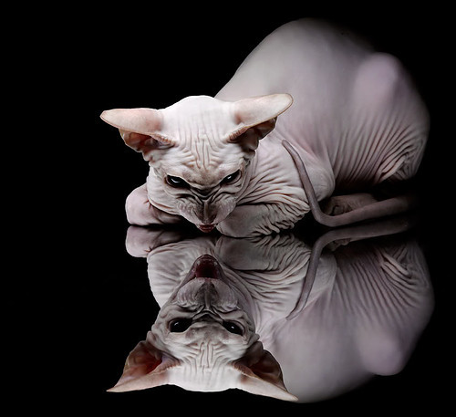 田径选手专项核心力量训练成效显著,田径核心力量的重要性