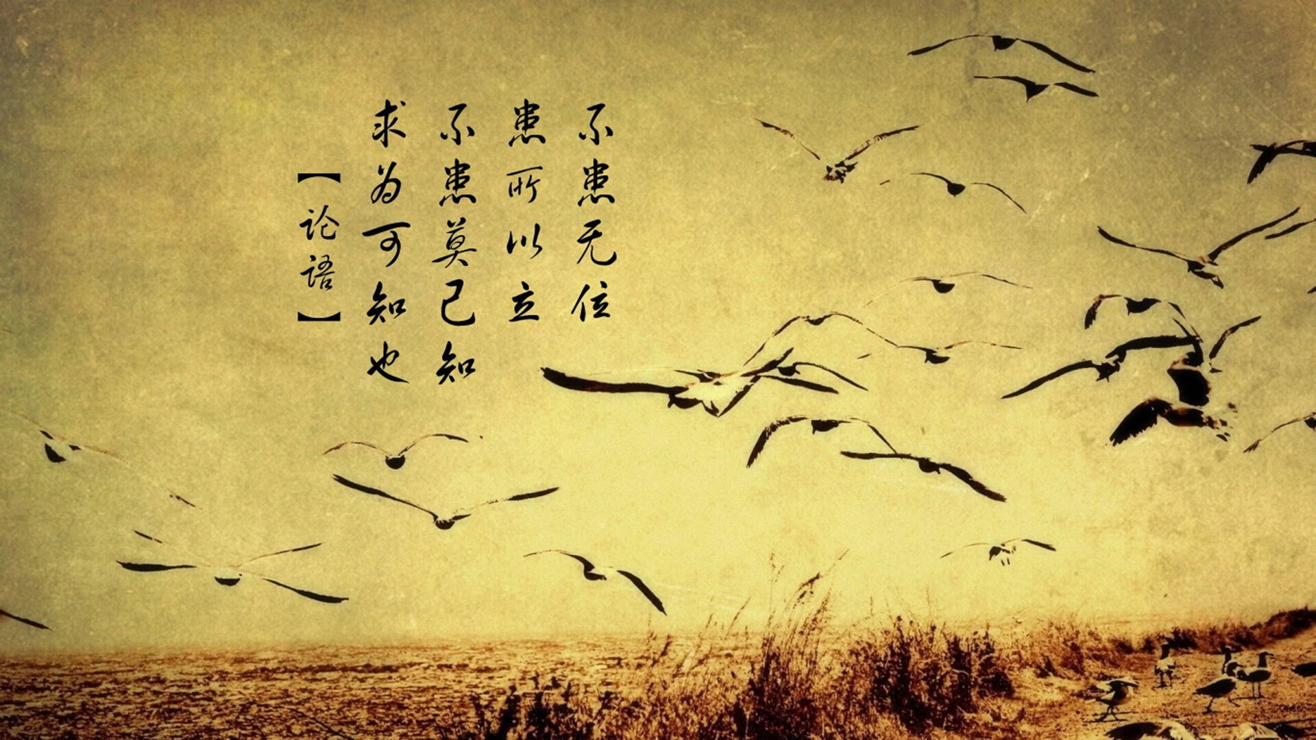 罗马连续抢开局建立场面优势，罗马最快几分钟出兵