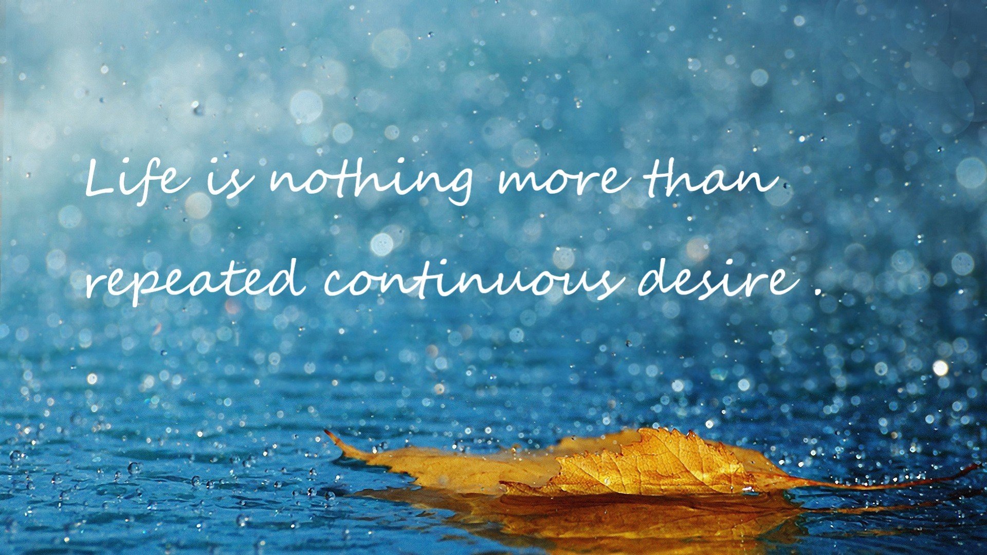 奥卡拉汉全程保持强劲节奏,奥卡拉汉州长