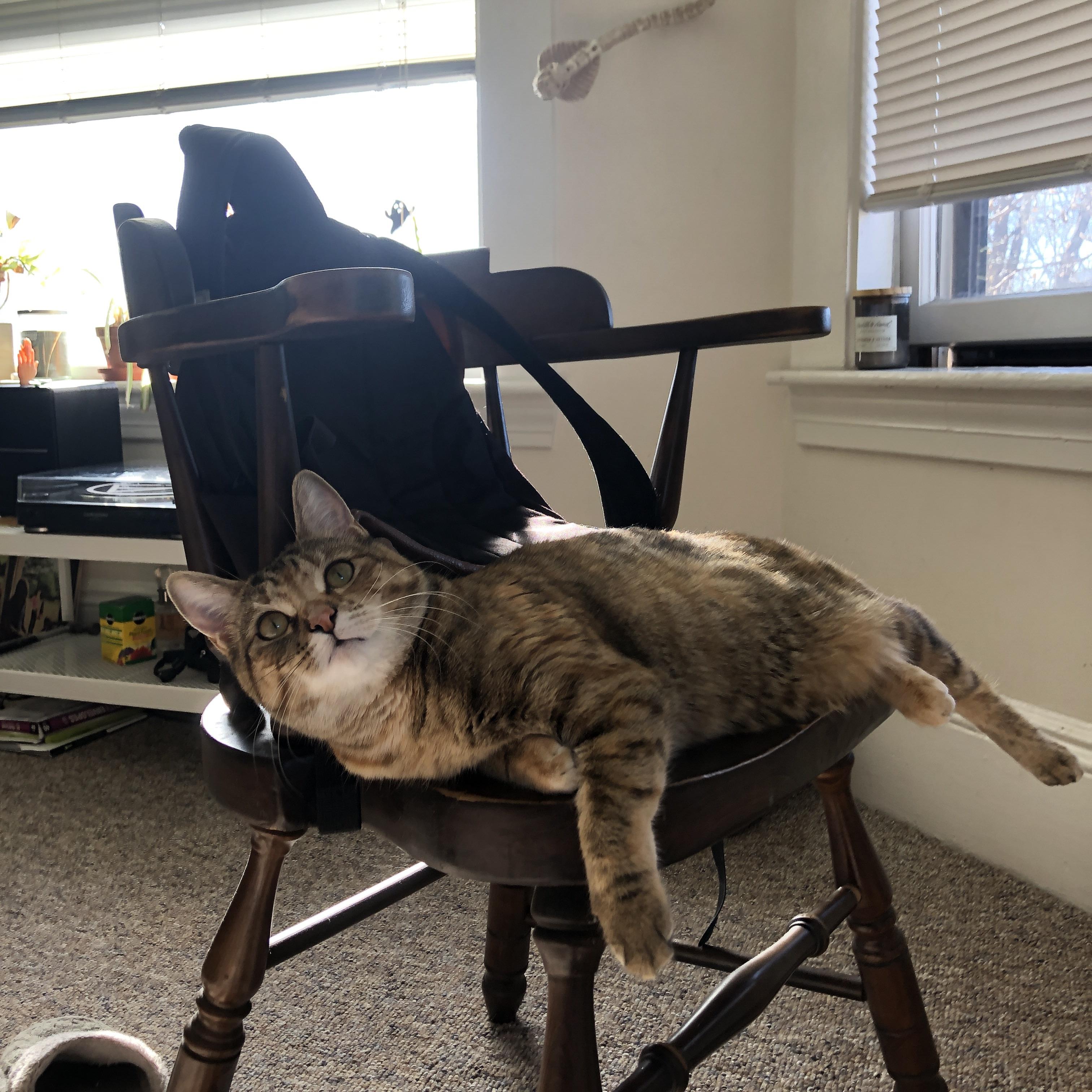 爱游戏官方网站-普劳德再次刷新个人蝶泳纪录，普劳德游泳