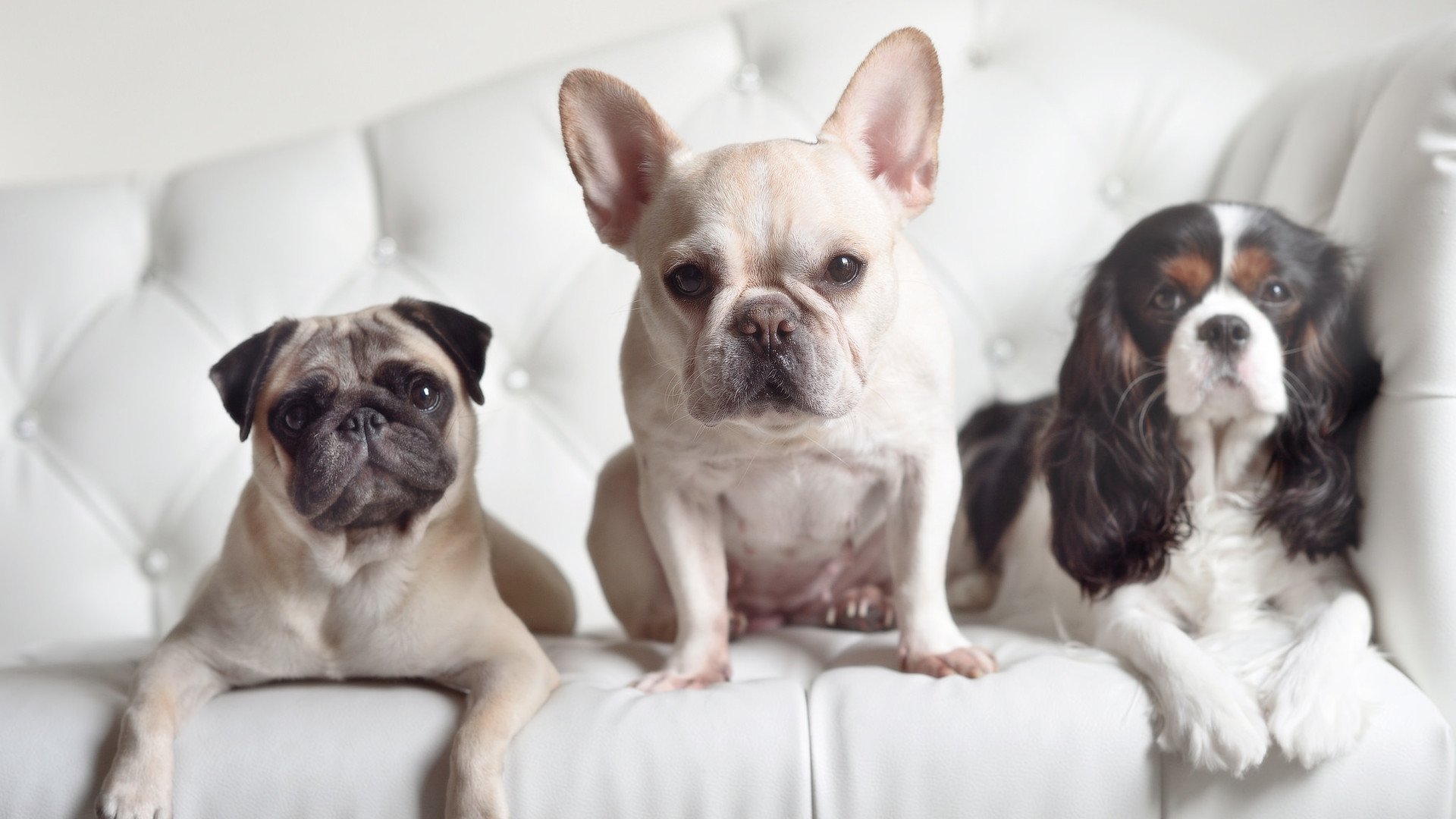 热火前锋赛后发文鼓励球队坚持到底,热火队大前锋