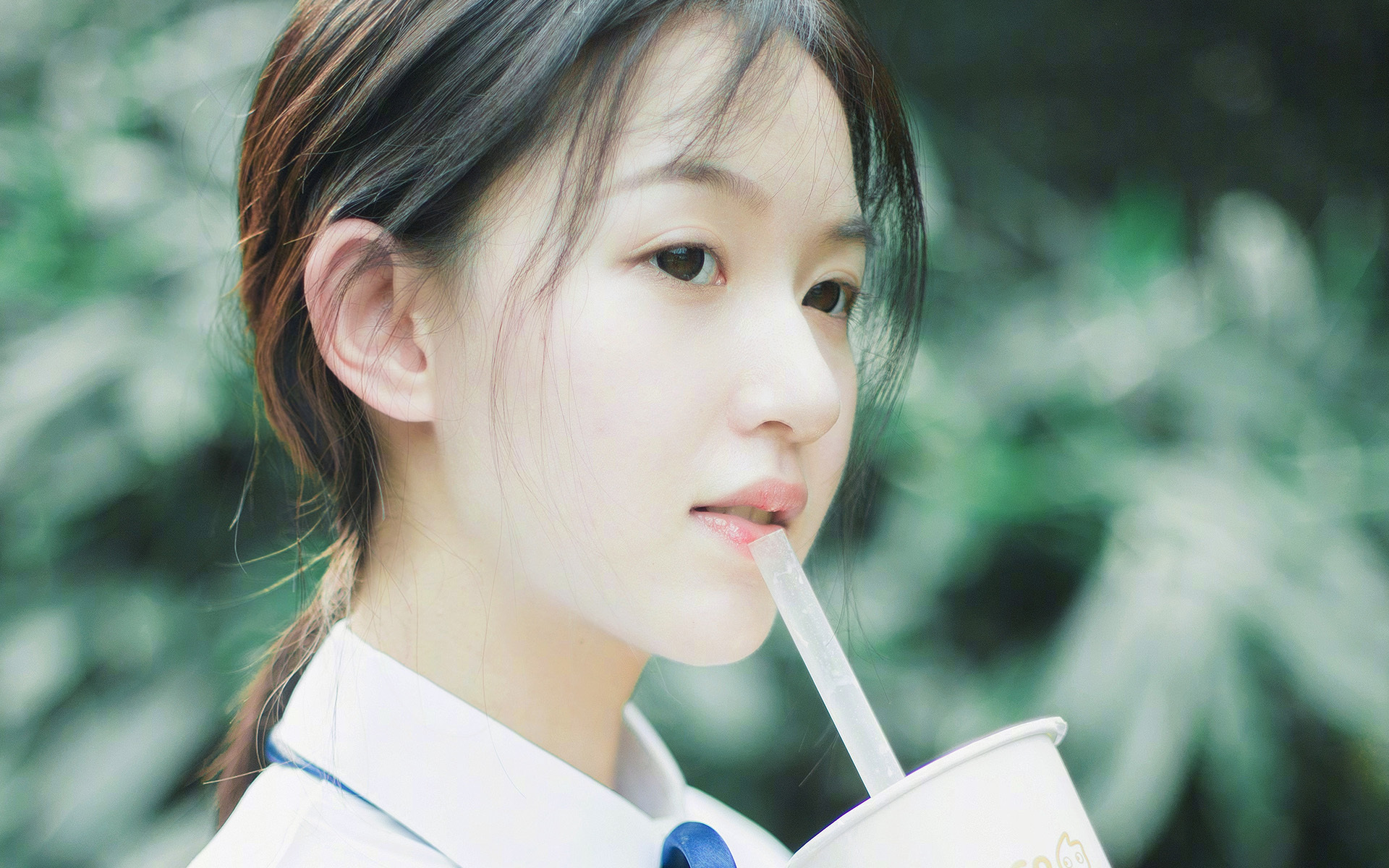 美洲杯奋战不息:明星拼搏,精彩绝伦!,美洲杯人气