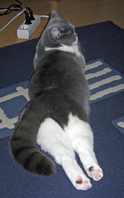 爱游戏体育平台-赛场舞台设计创新，转播效果获好评，比赛舞台背景