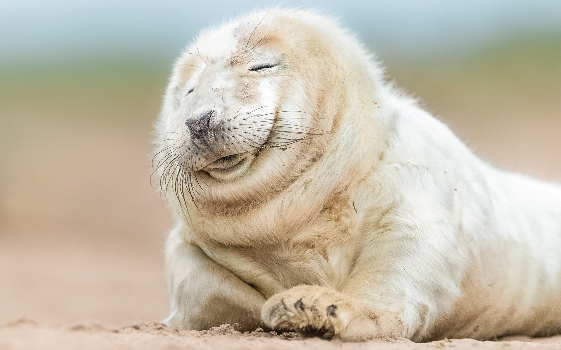 爱游戏体育官方网站-足球运动员公益事业频繁，传递体育正能量，业余足球运动员