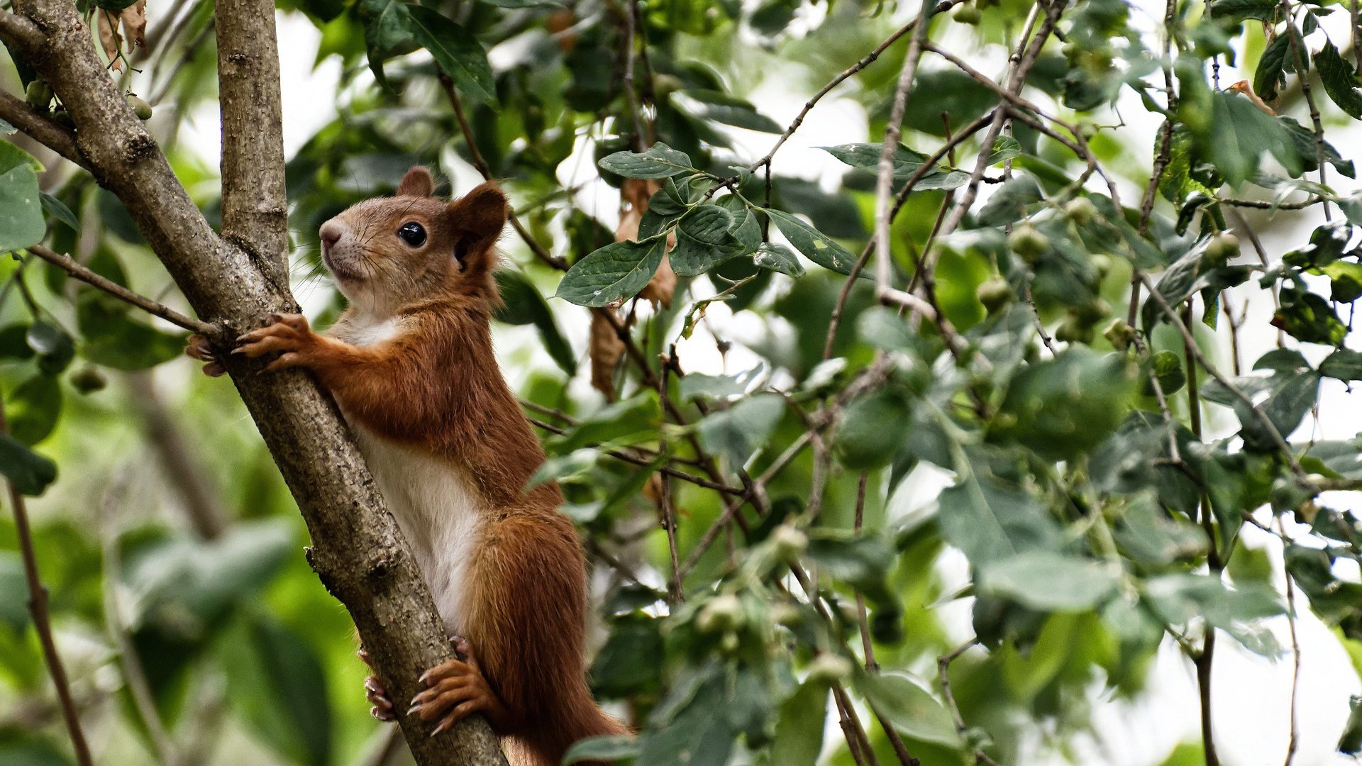 爱游戏中国官方网站平台-青训营注重多技能融合训练促进球员全面发展，青训营是什么意思