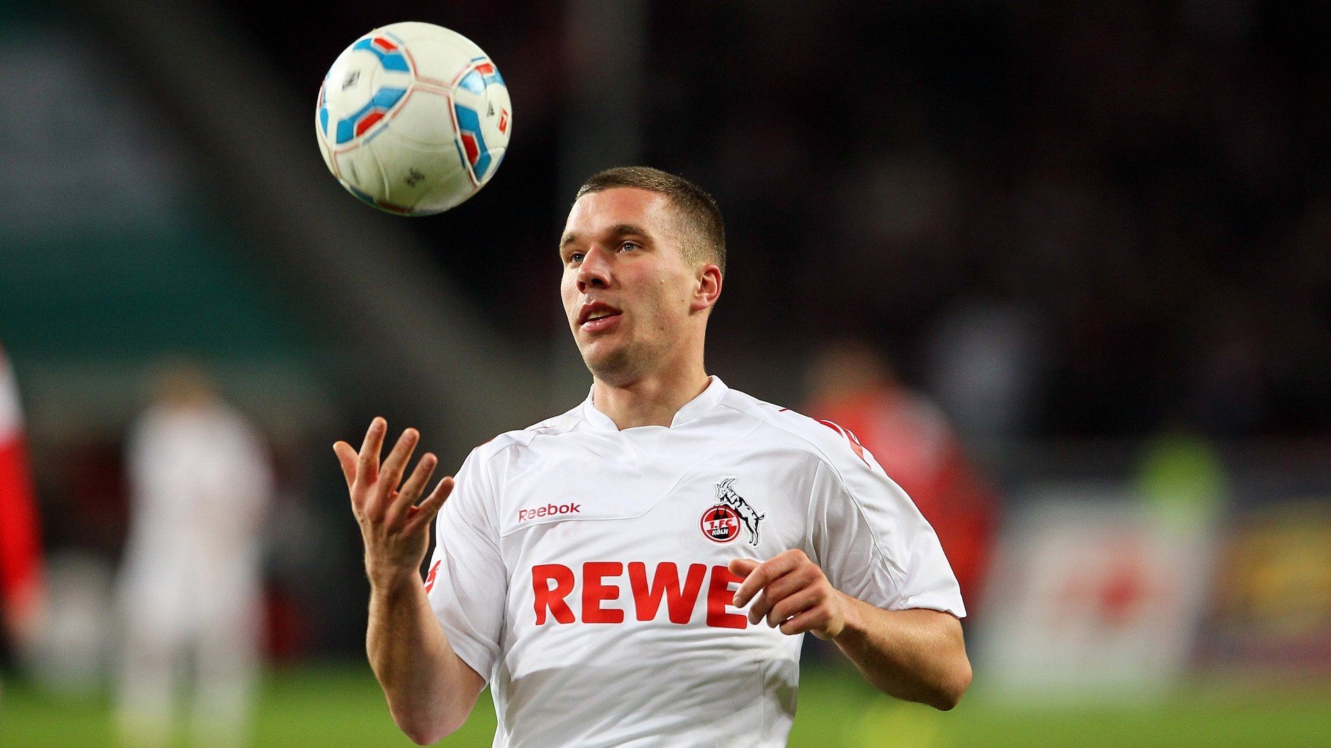 未来“欧洲天王”候选人:新星崭露头角全景分析,怎样自制泰迪犬狗粮